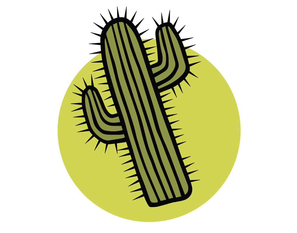 cactus.jpg