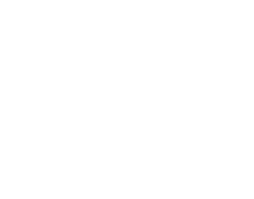 wit.jpg