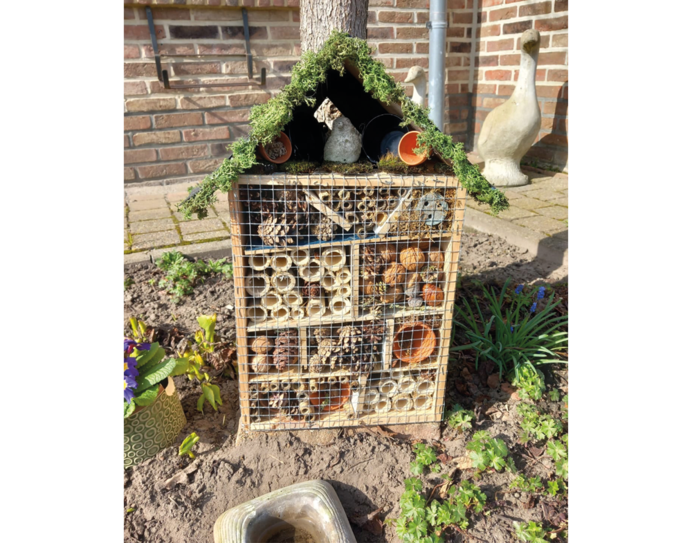 insectenhotel-resultaat.png